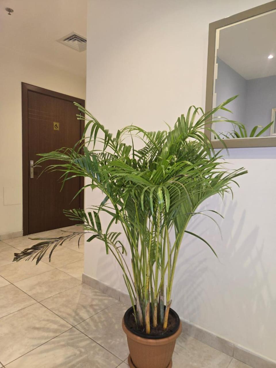 Al Raya Hotel Apartments Дубай Екстер'єр фото